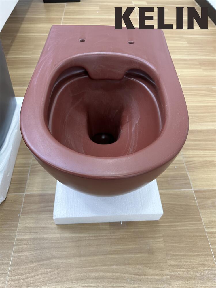 Inodoro suspendido de cerámica - Home In Bathroom reseña y precio