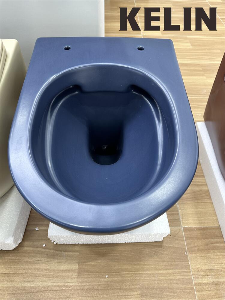 Inodoro suspendido de cerámica - Home In Bathroom reseña y precio